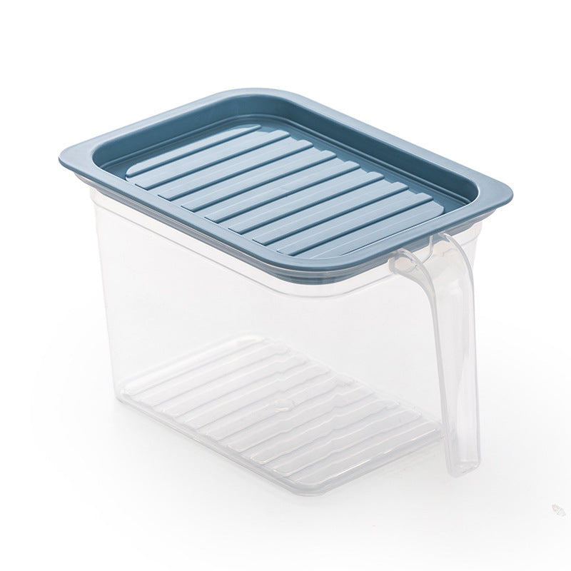 blue rectangle refrigerator crisper drawer – PP food storage organizer for fruits and vegetables